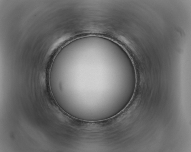 X0000113901307200910081820