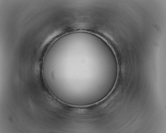 X0000113901309200910081821