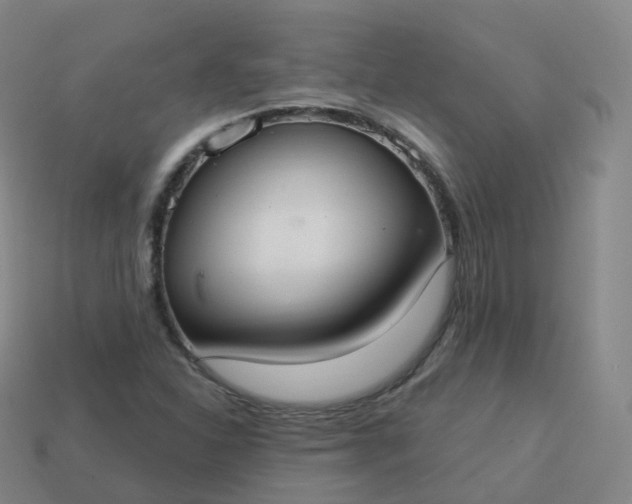 X0000113901310200910081821