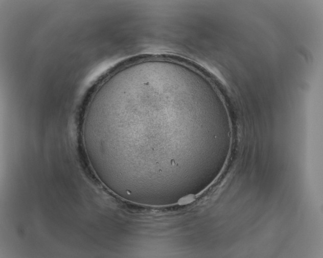 X0000113901311200910081821