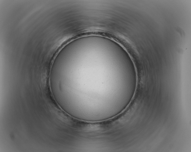 X0000113901313200910081821