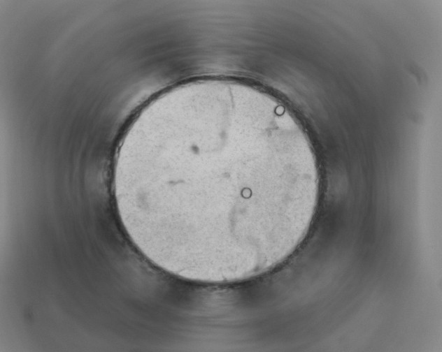 X0000113901314200910081821