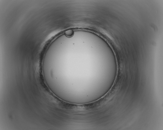 X0000113901315200910081821