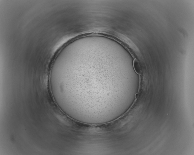 X0000113901316200910081821