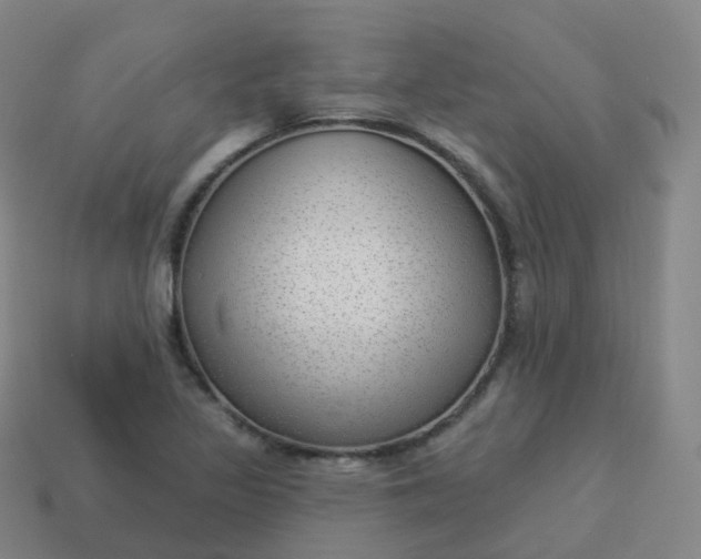 X0000113901317200910081821