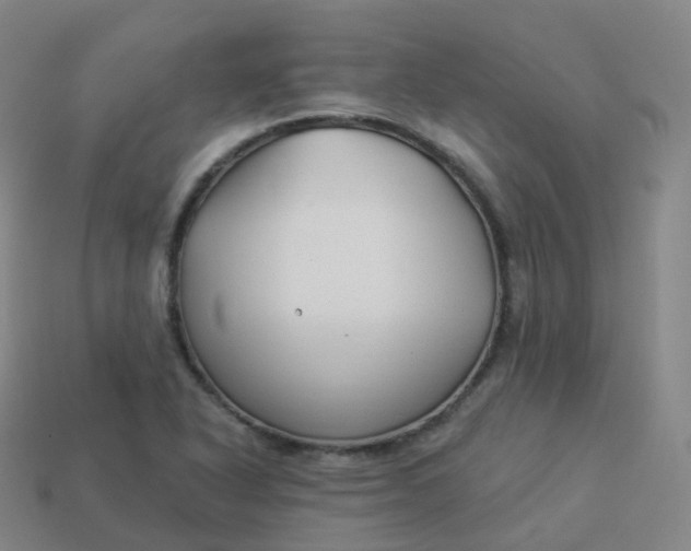 X0000113901318200910081821