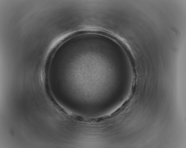 X0000113901319200910081821