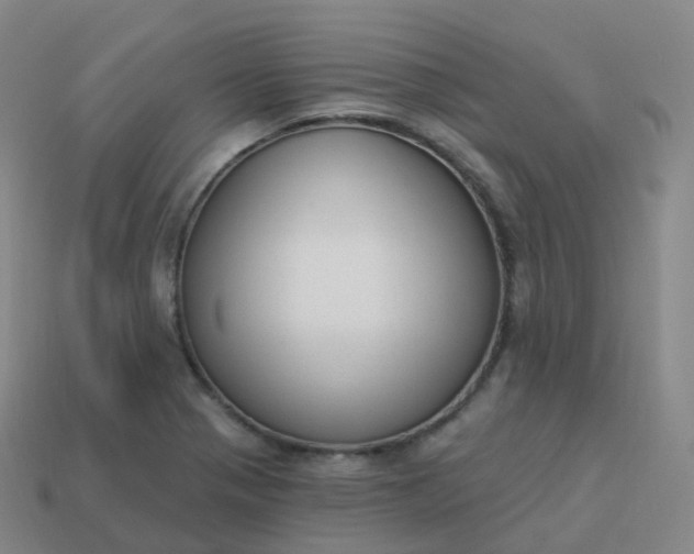 X0000113901321200910081821