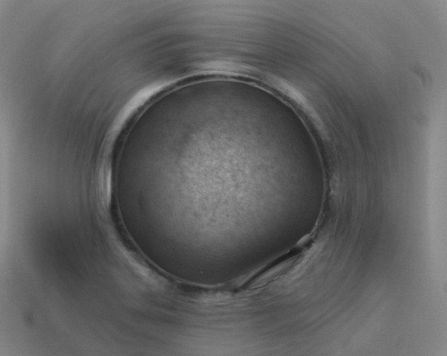 X0000113901323200910081821