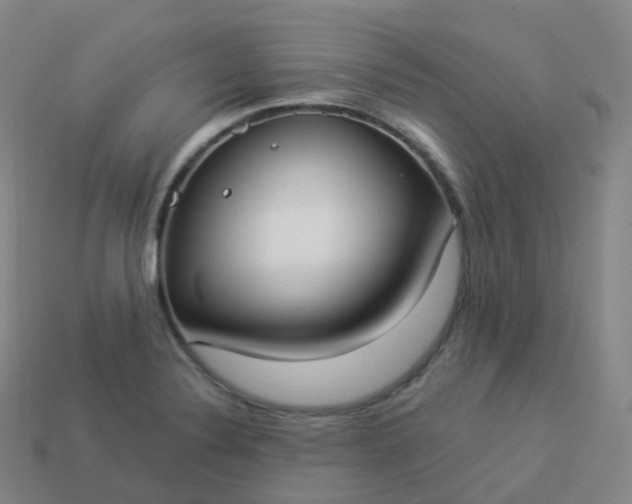 X0000113901324200910081821