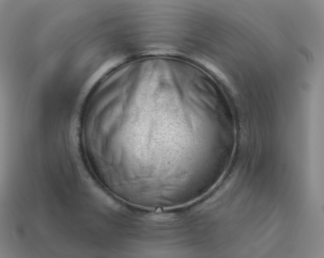 X0000113901325200910081821