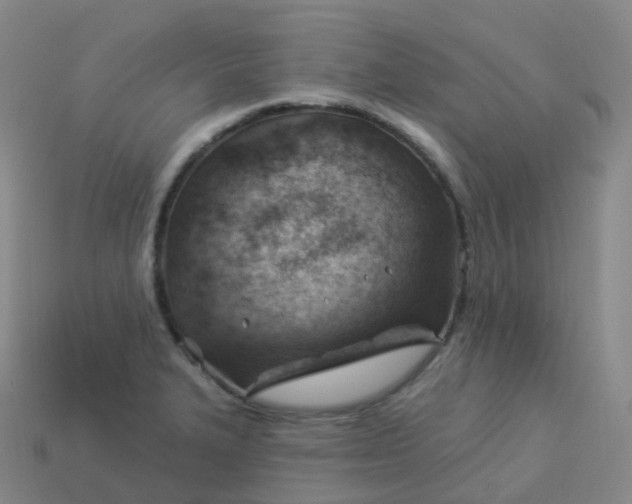 X0000113901327200910081821