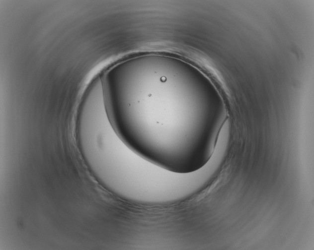 X0000113901328200910081821