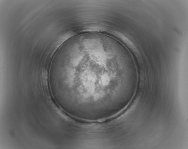 X0000113901329200910081821