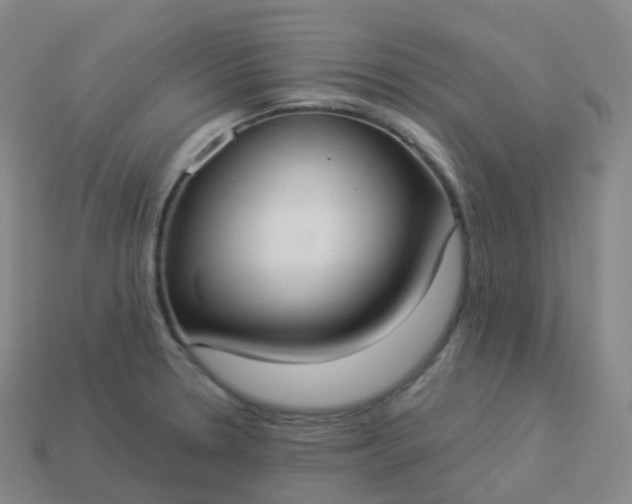 X0000113901330200910081821