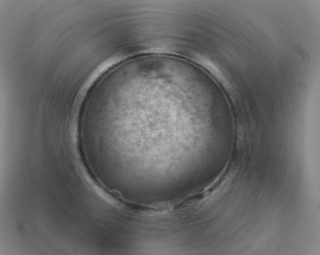 X0000113901331200910081821