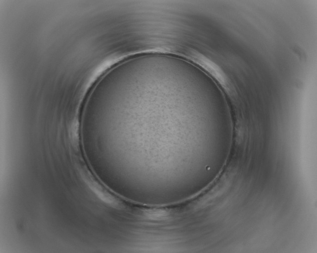 X0000113901332200910081821