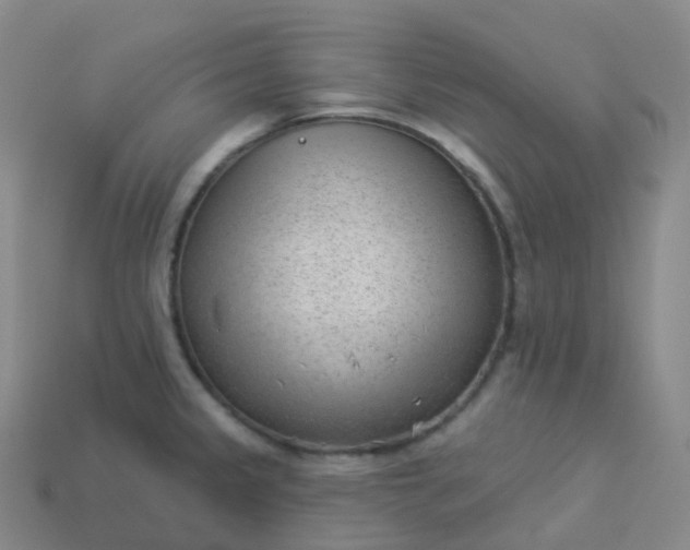 X0000113901333200910081821