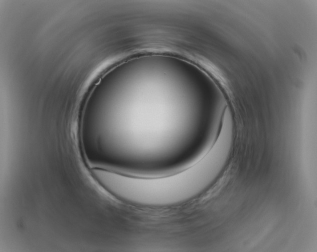 X0000113901334200910081821