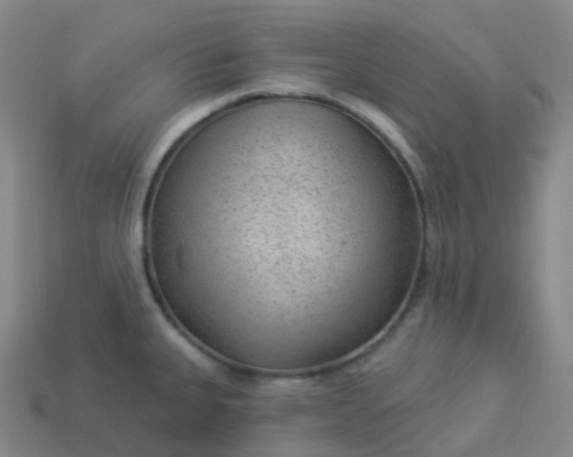 X0000113901335200910081821