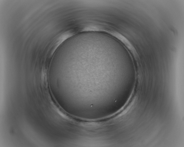 X0000113901337200910081821