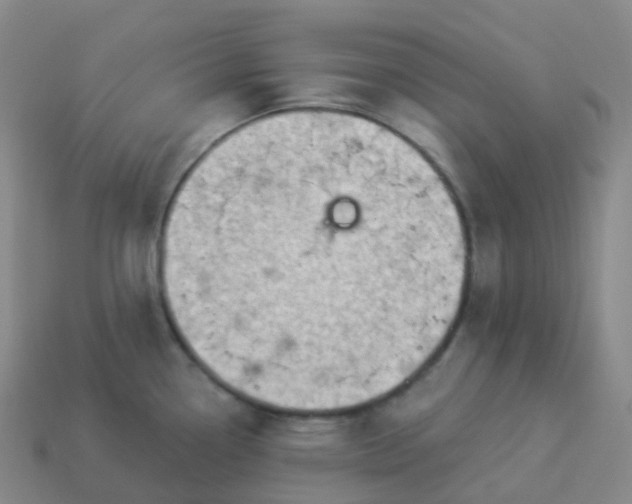 X0000113901338200910081821