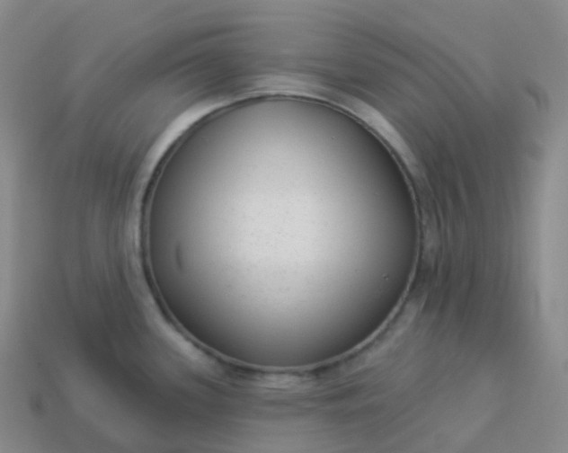 X0000113901339200910081821