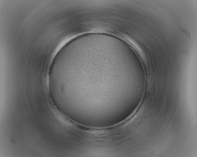 X0000113901340200910081821