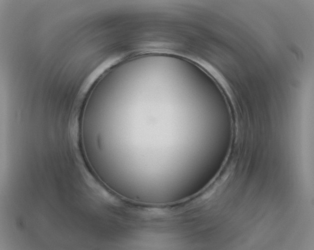 X0000113901341200910081821