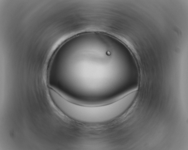 X0000113901342200910081821