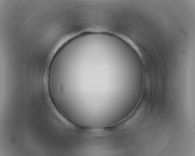 X0000113901343200910081821