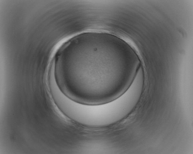 X0000113901344200910081821