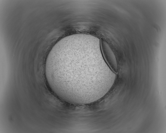 X0000113901345200910081820