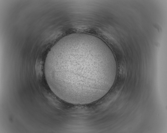 X0000113901346200910081820