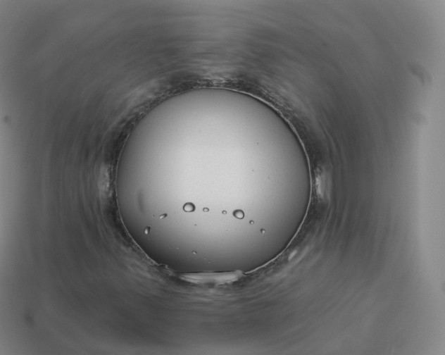 X0000113901347200910081820