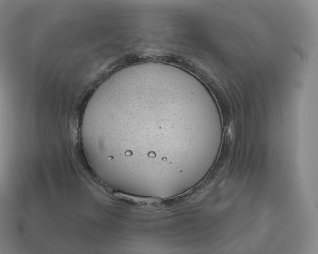 X0000113901348200910081820