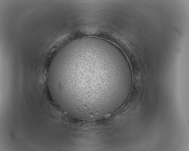 X0000113901349200910081820