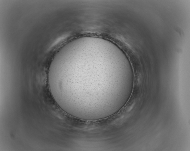 X0000113901350200910081820