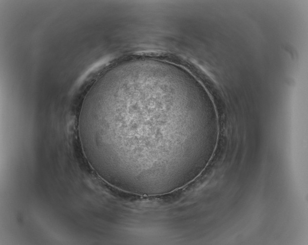 X0000113901351200910081820