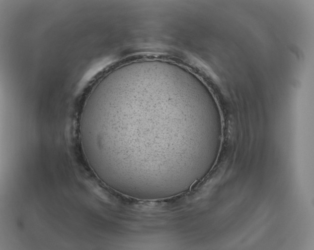 X0000113901352200910081820