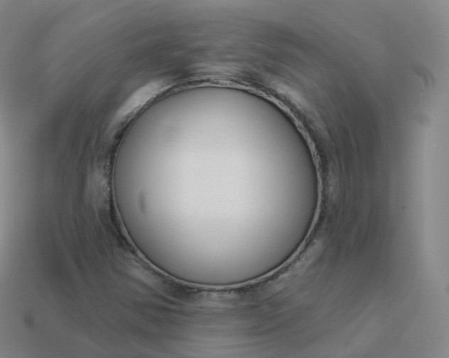 X0000113901354200910081820