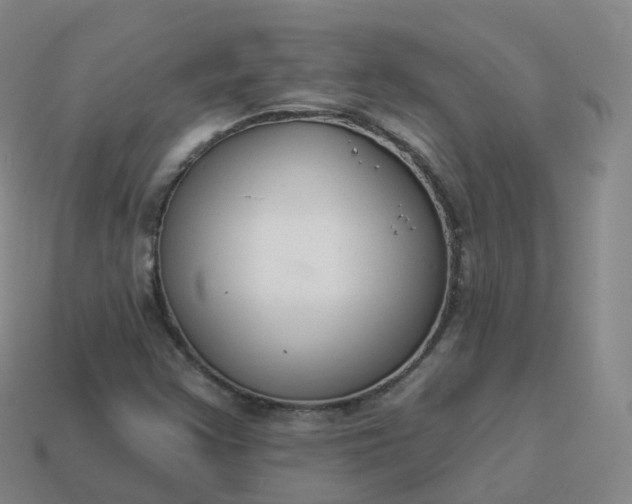 X0000113901355200910081820