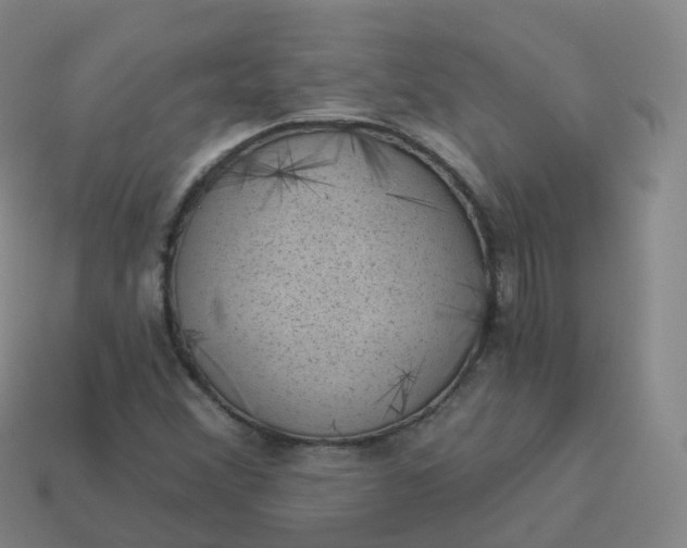 X0000113901356200910081820