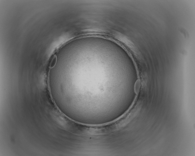 X0000113901357200910081820