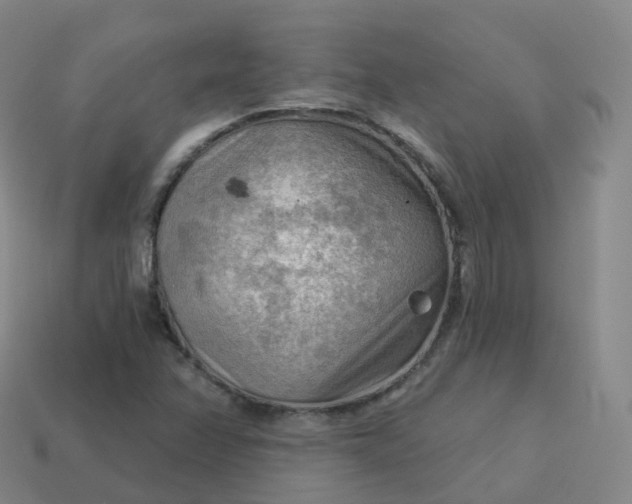 X0000113901358200910081820