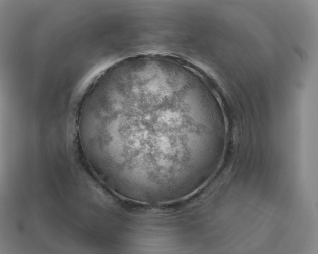 X0000113901359200910081820