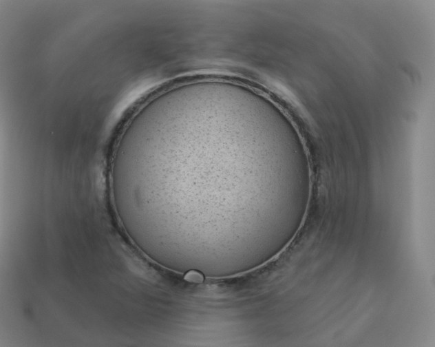 X0000113901360200910081820