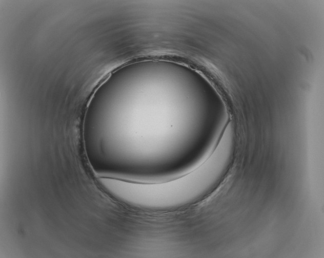 X0000113901361200910081820