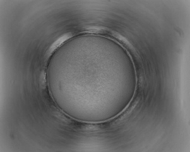 X0000113901362200910081820