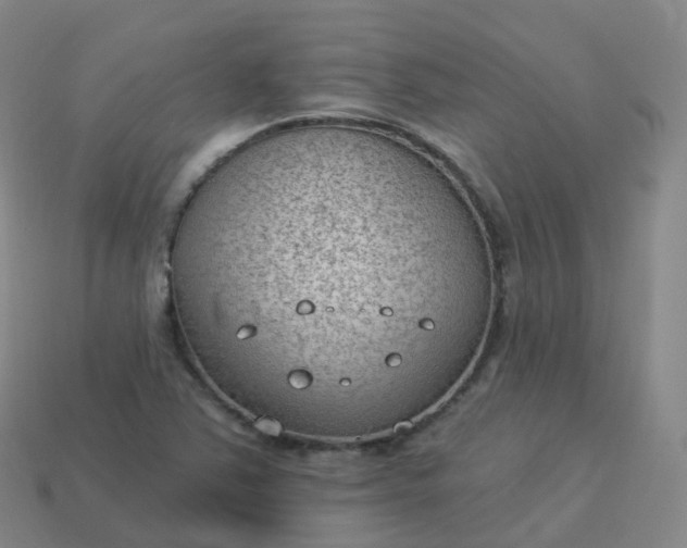 X0000113901363200910081820